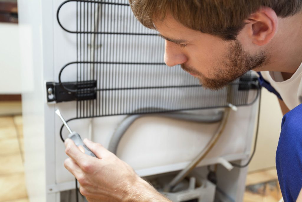How to keep food cold in a broken fridge - Domex Ltd